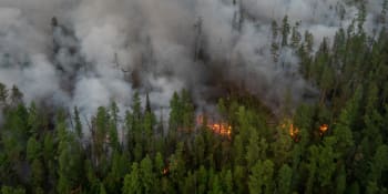 2019: Rok lesních požárů a extrémních teplot