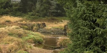VIDEO: Lesníci v Jizerských horách vymezili dalších sto hektarů bezzásahové zóny