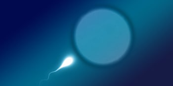 Muži s nekvalitními spermiemi? Díky nové metodě jim svítá naděje na vlastního potomka