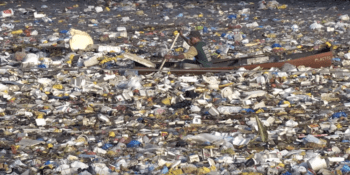 Skvrna z plastových odpadků v Pacifiku se nebezpečně zvětšuje. Už je větší než Mexiko