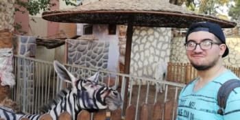 Přemalovali osla na zebru? Egyptská zoo čelí obvinění z klamání návštěvníků
