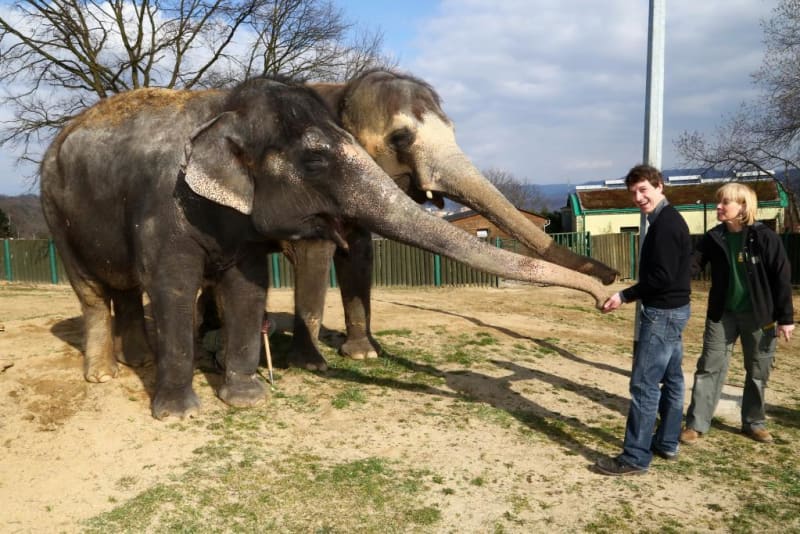 Setkal se i s milovanými slony