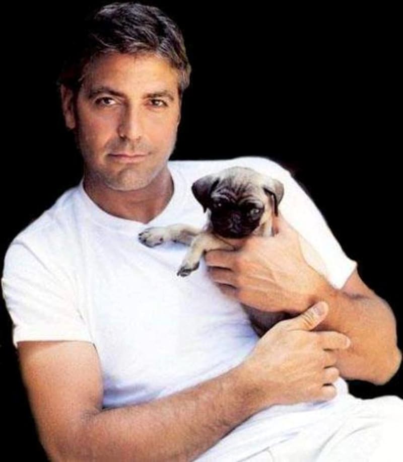 George Clooney neví, jak získat novou lásku