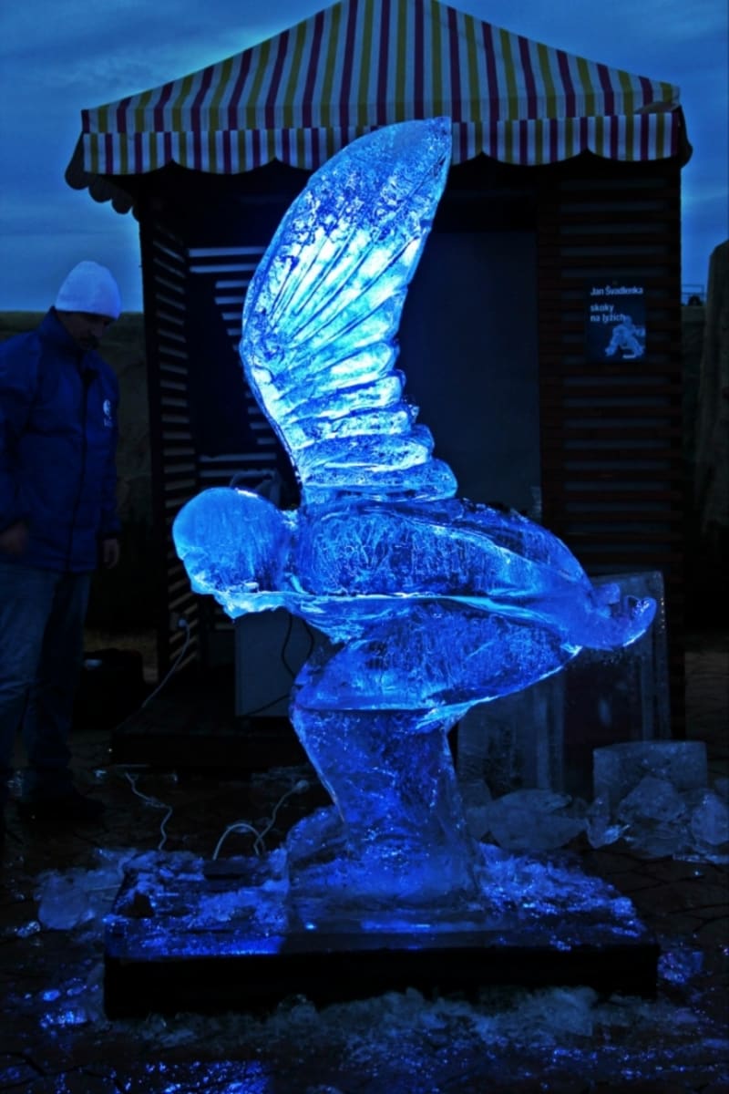 Festival ledových soch