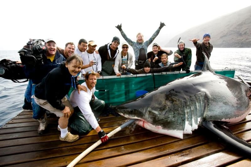 Paul Walker v týmu lovců žraloků