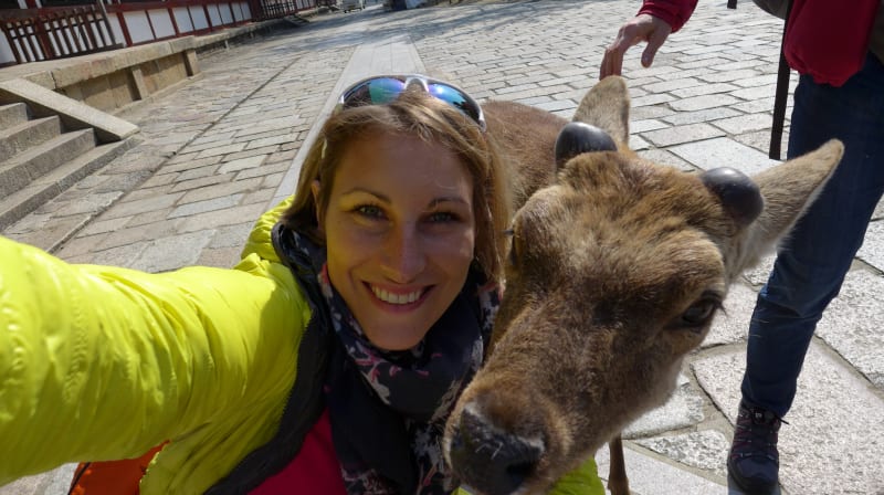 V jednom se také lépe organizuje focení selfie s jelenem.