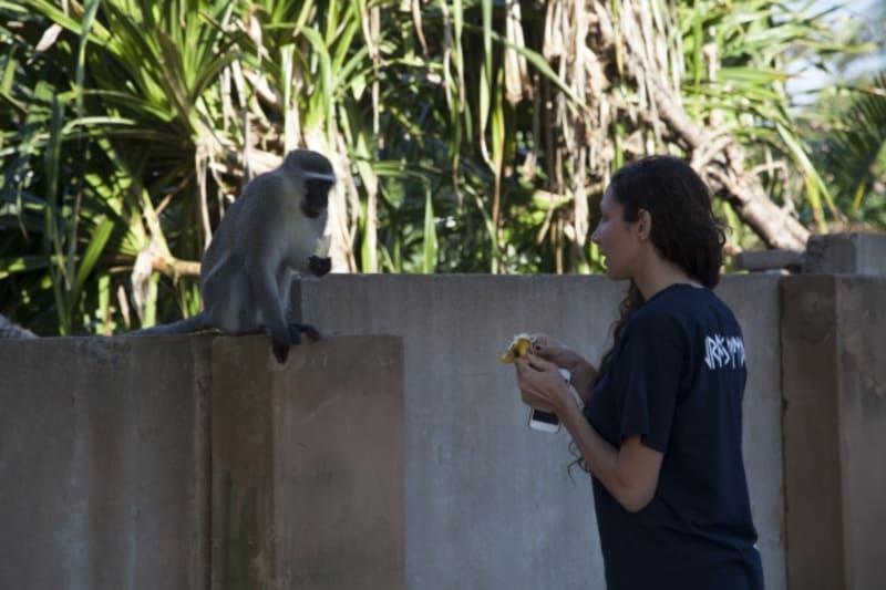 V JAR se kamarádila s opičkami