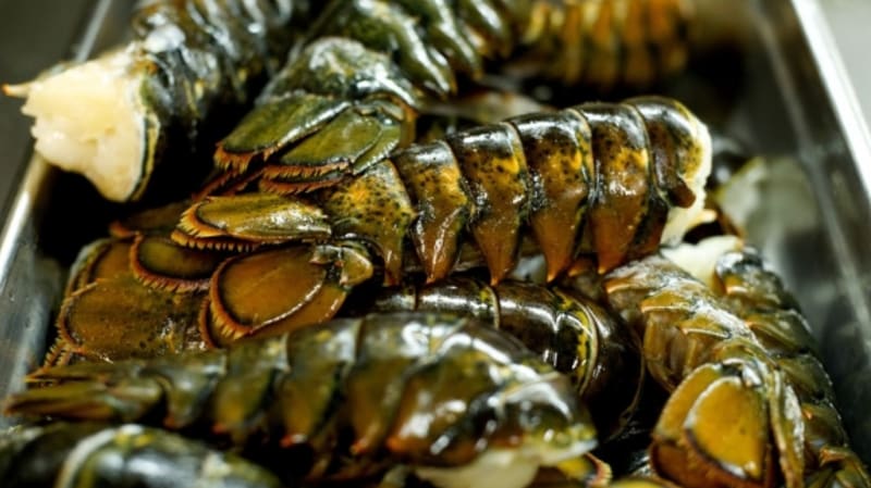 Mořské plody nejvyšší kvality na vás čekají na Invazi humrů. FOTO: Corinthia Hotels