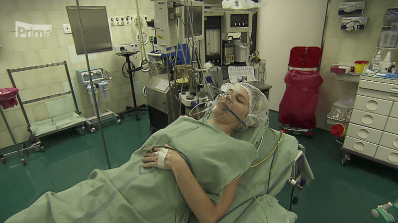 Nemocnice Motol: Jak probíhá transplantace orgánů krok za krokem?