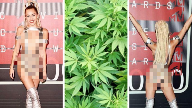 FOTO: MILEY BEZ KALHOTEK! Skandalistka přišla dole bez a zazpívala lovesong pro marihuanu. Jak dopadly ceny MTV?
