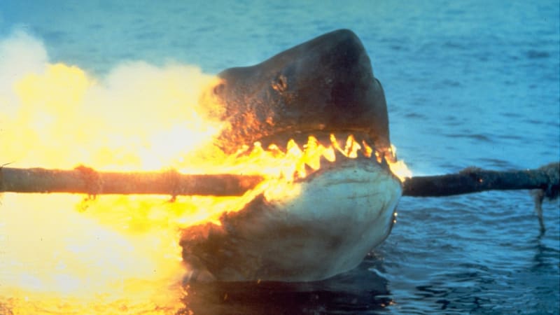 Žralok lidožrout útočí podruhé ve filmu Čelisti 2 v sobotu na Primě