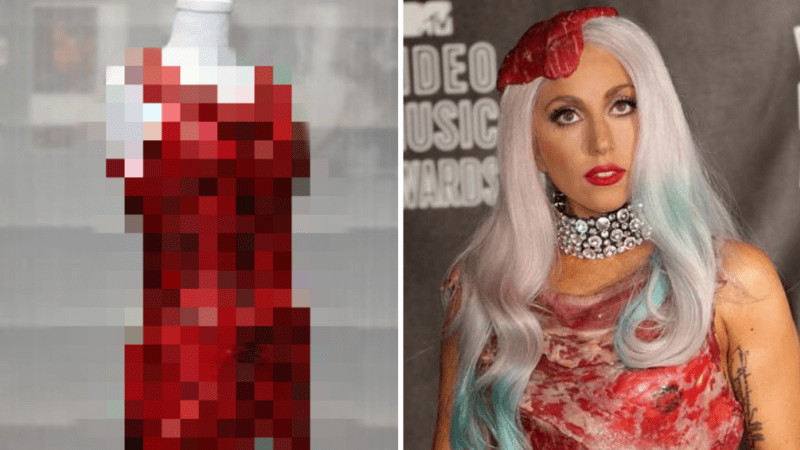 GURMÁNSKÉ FOTO: Neuvěříte, jak vypadají šaty ze syrového hovězího 5 let po tom, co je Lady Gaga oblékla…