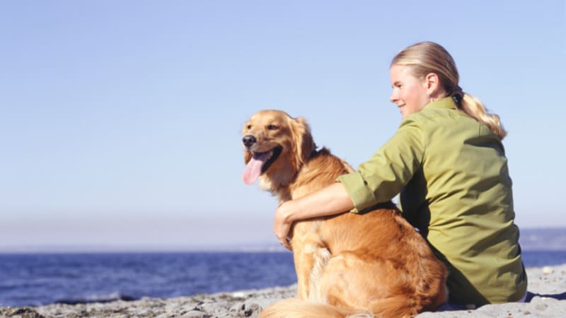 Pes (nejen) na dovolené v zahraničí: Jaké jsou možnosti pojištění + Rady na cestu