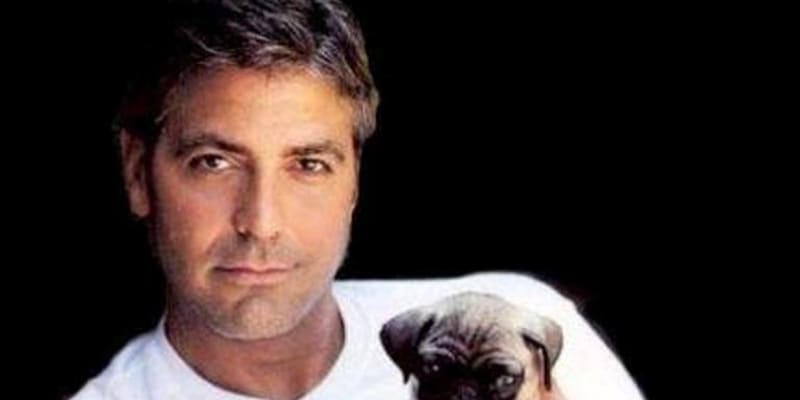 George Clooney neví, jak získat novou lásku