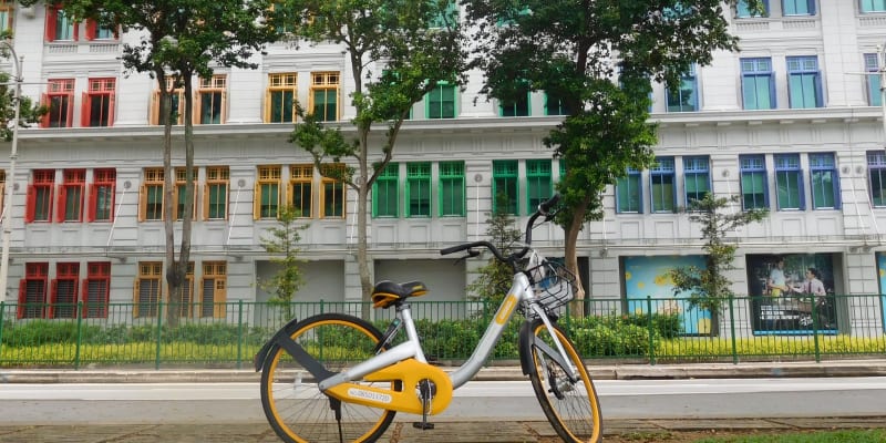 Singapur je velmi přívětivým místem pro cyklisty, kterým se mezi zelení jezdí jedna báseň