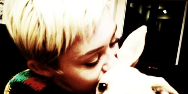 Miley Cyrus se svým psem