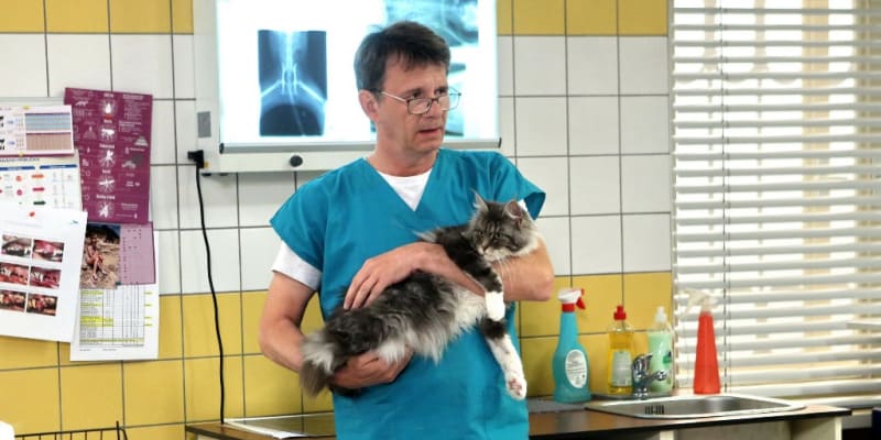 Jan Šťastný jako veterinář