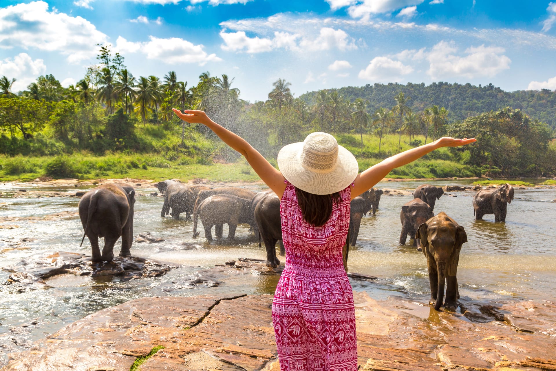 Na Srí Lance lze pozorovat slony v zajetí i v divoké přírodě.