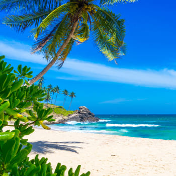 Pláže na Srí Lance patří k těm nejpůsobivějším.