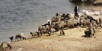 Masakr při střetu pastevců a farmářů v Nigérii. Zemřely desítky lidí, někteří přišli o hlavu