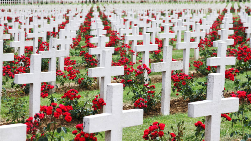 Co bude s mrtvými? Hřbitovy jsou extrémně neekologické, problematická je i kremace