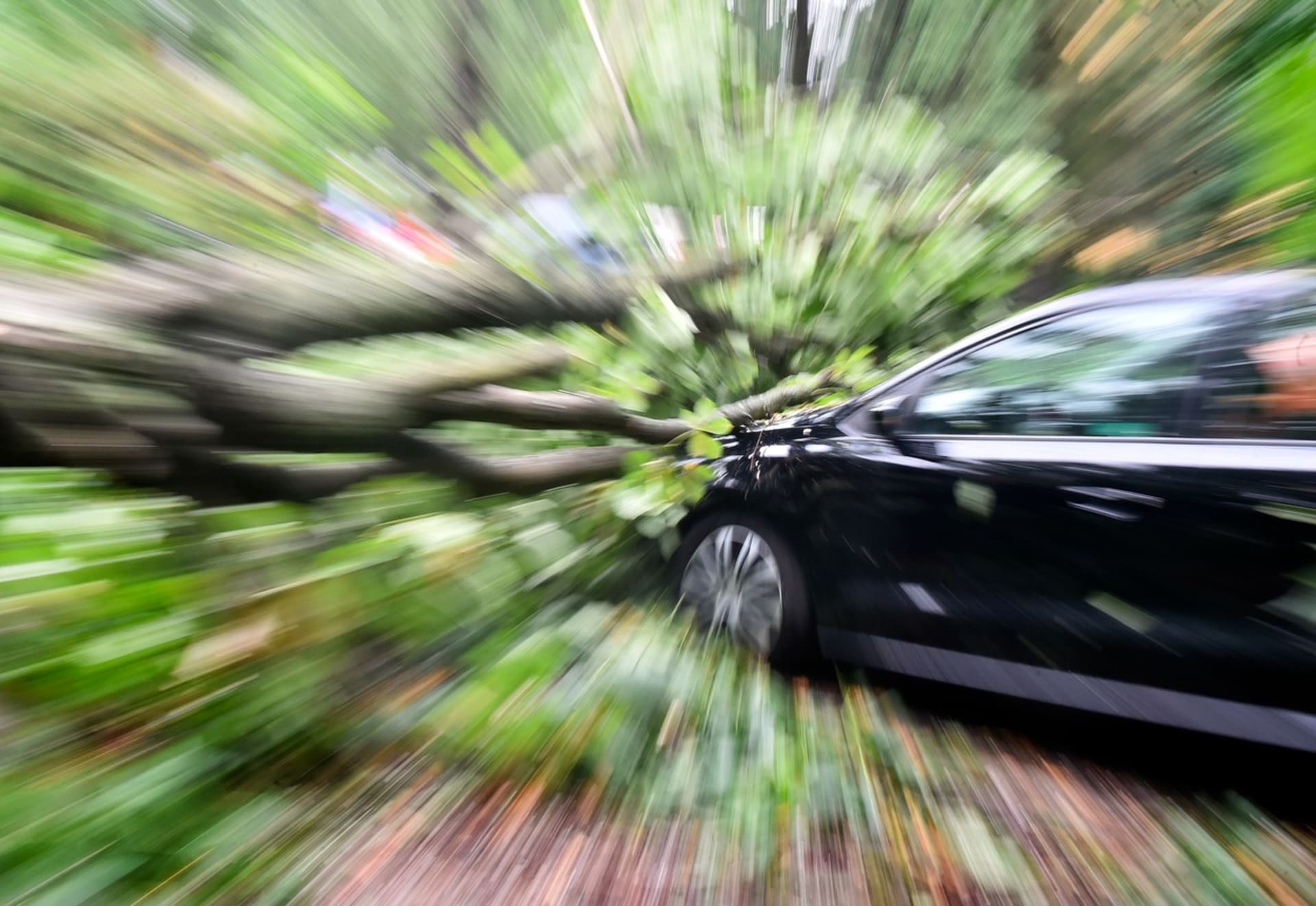 Pád stromu na jedoucí auto může mít fatální následky. Mrzutá je ale i nehoda na místě.