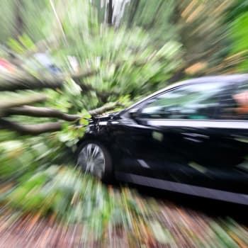 Pokud auto jede, je kolizi s nenadále spadnuvším stromem prakticky nemožné zabránit. Při parkování však ano.