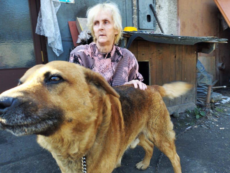 Bezdomovkyně z garáže Dagmar Paláková se psem Rexem, který v minulých dnech zemřel. Žena teď naléhavě shání náhradníka. Bez psa se v garáži obává o své bezpečí.