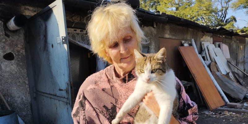 Bezdomovkyně z garáže Dagmar Paláková miluje i kočky, průběžně se stará o osm až dvanáct kočičích tuláků.