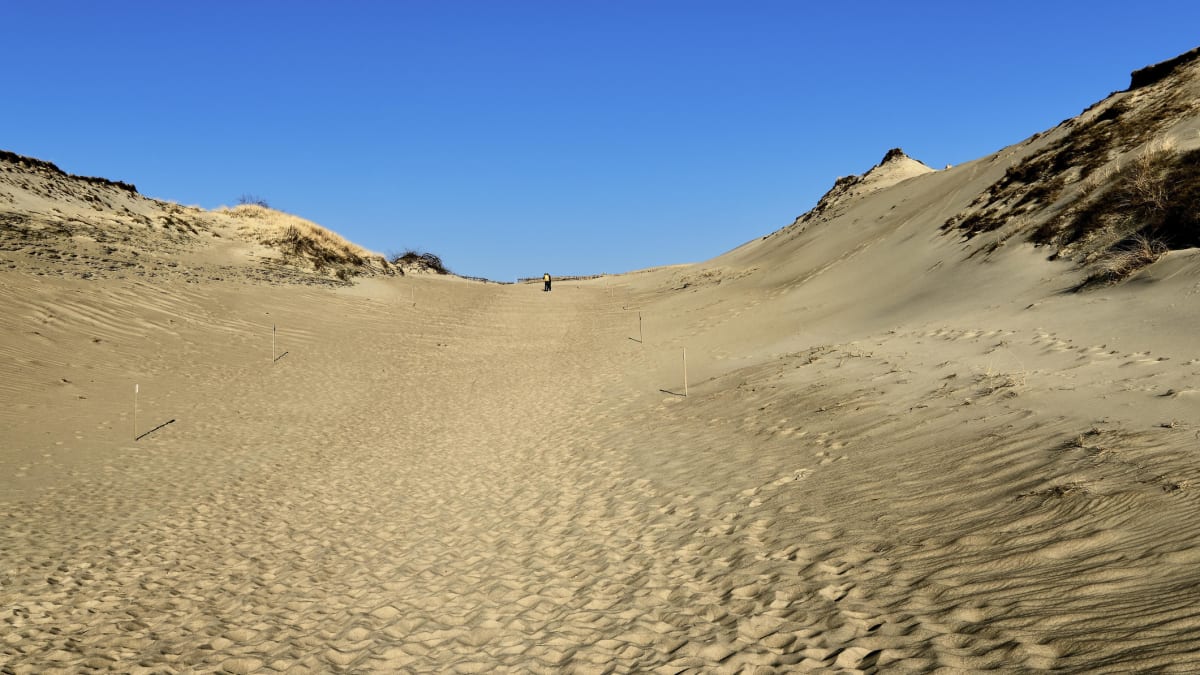 Ne, to není Sahara. Tyto písečné duny najdete nedaleko městečka Nida v Litvě.
