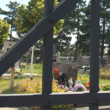 Dva pacienti z psychiatrické léčebny demolovali hřbitov v Dobřanech.