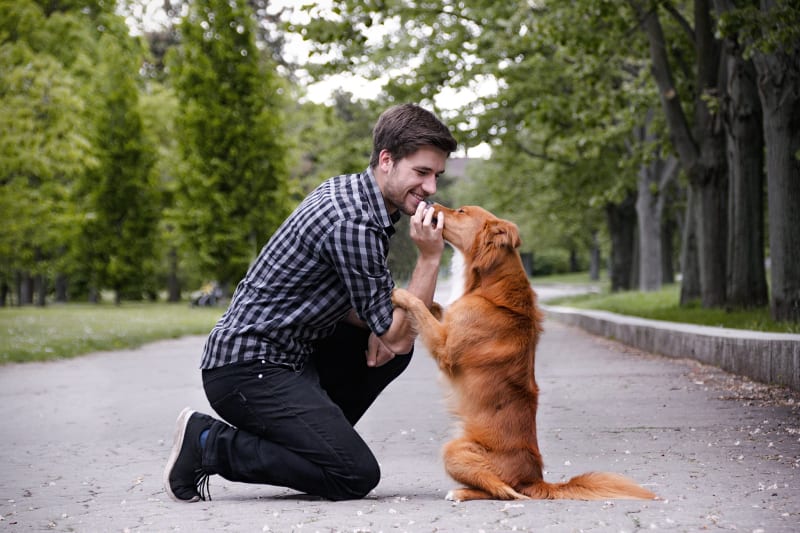 Tomáš Nushart je trenér a propagátor pozitivní výchovy psů