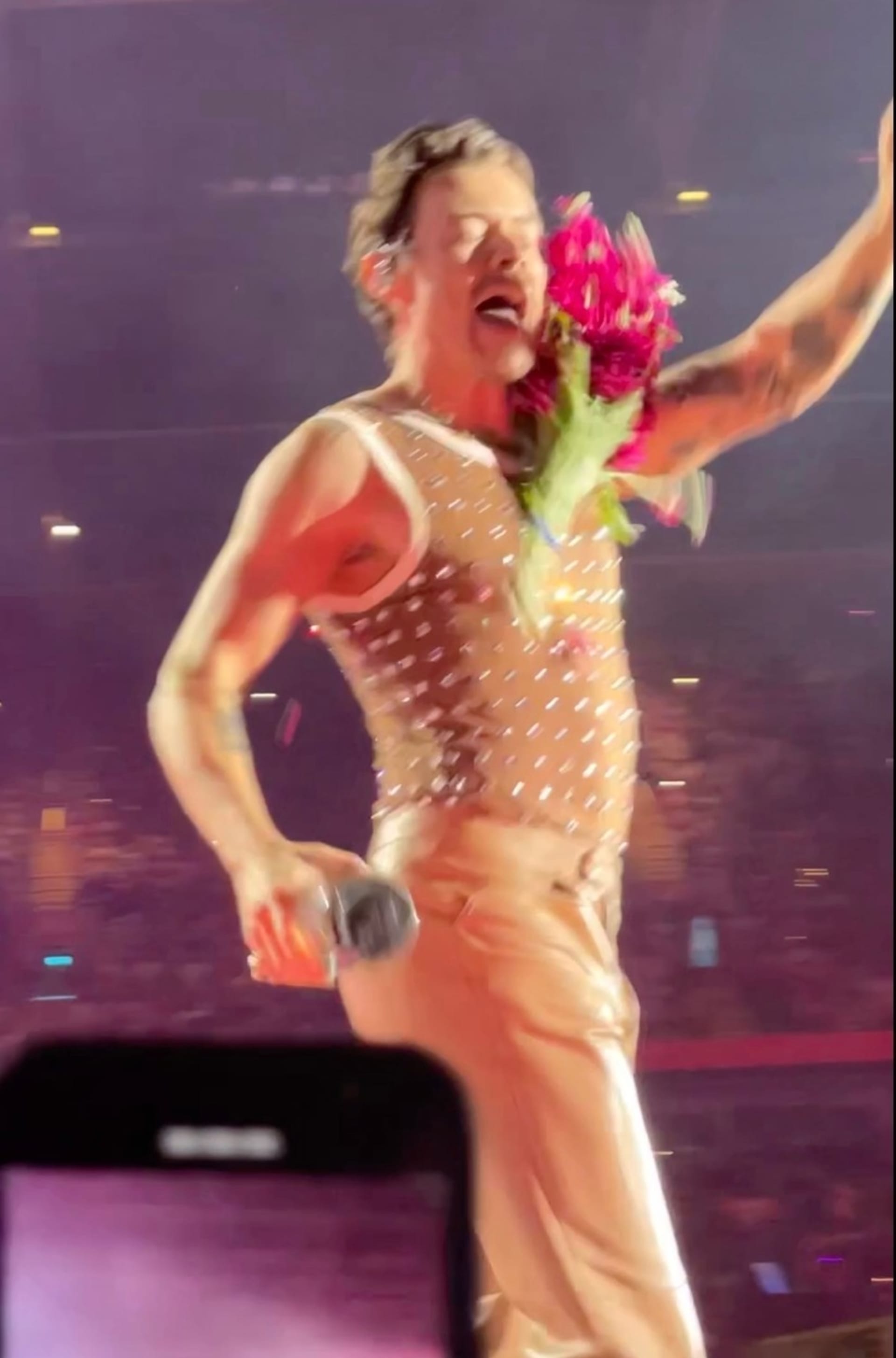 Harrymu Stylesovi hodil jeden z fanoušků do obličeje květiny.