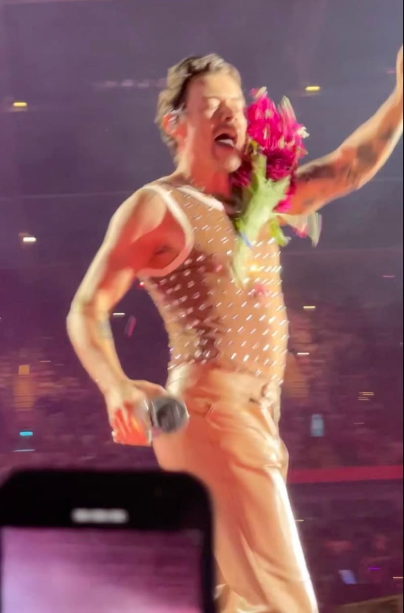 Harry Stylesovi hodil jeden z fanoušků do obličeje květiny.