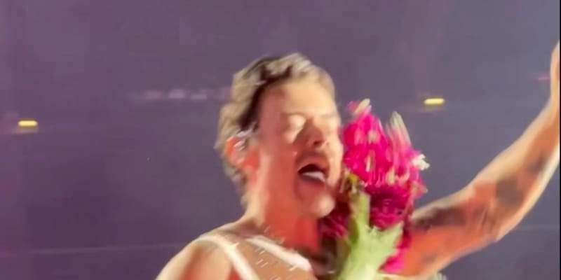 Harry Stylesovi hodil jeden z fanoušků do obličeje květiny.