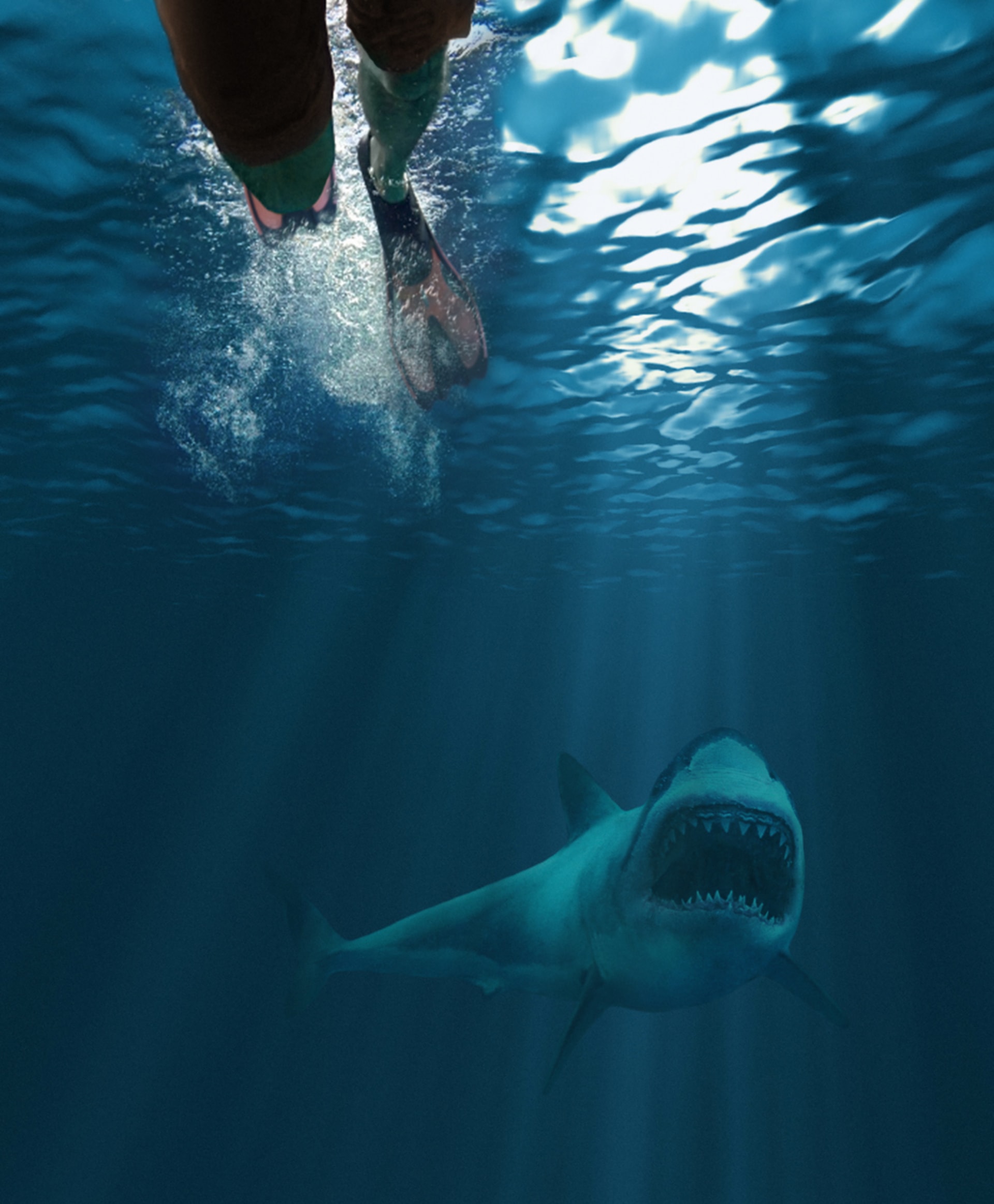 Útoky velkého bílého žraloka jsou vzácné