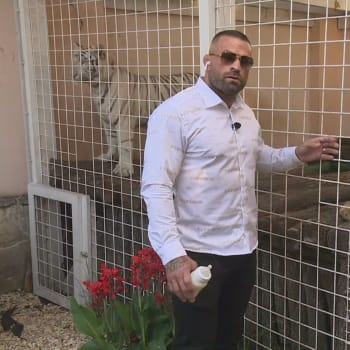 Karlos Vémola promluvil exkluzivně pro CNN Prima NEWS o kauze tygrů