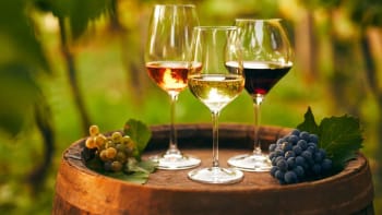 Mýty a polopravdy o víně aneb Bílé víno je pouze z bílých hroznů a Pálava je vždy sladká