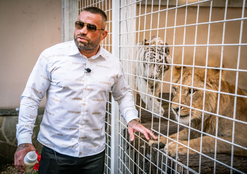 Karlos Vémola se svou bílou tygřicí a lvem