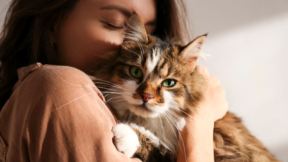 Kočky se podle kočičí psycholožky vychovat dají