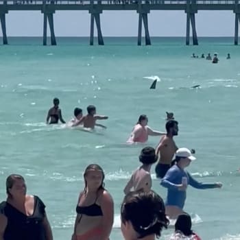 Žralok na floridské pláži plaval mezi lidmi.