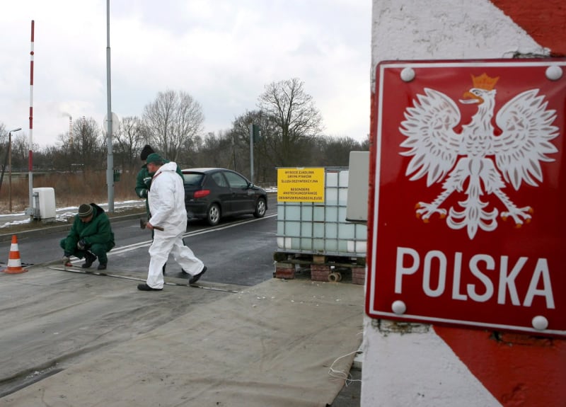 Polsko v posledních letech evidovalo několik případů výskytu H5N1