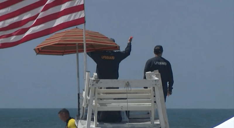 U pobřeží amerického Long Islandu došlo  v předchozích dnech k několika útokům žraloka. Panuje tam zvýšený dohled
