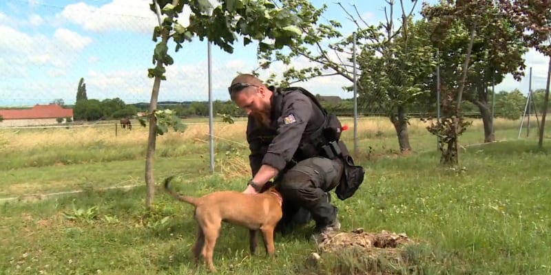 Pražští policisté přijali nové čtyřnohé posily