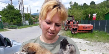 Pečuji o 300 psů a každý den nacházím další: Jaký je život rumunské psí záchranářky?
