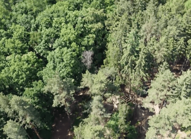 Osada u Knižské skály je v lesích z výšky sotva postřehnutelná.