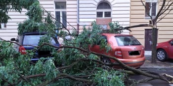 Silný vítr v Česku lámal stromy, v Praze poničily auta. K večeru mají bouře udeřit znovu