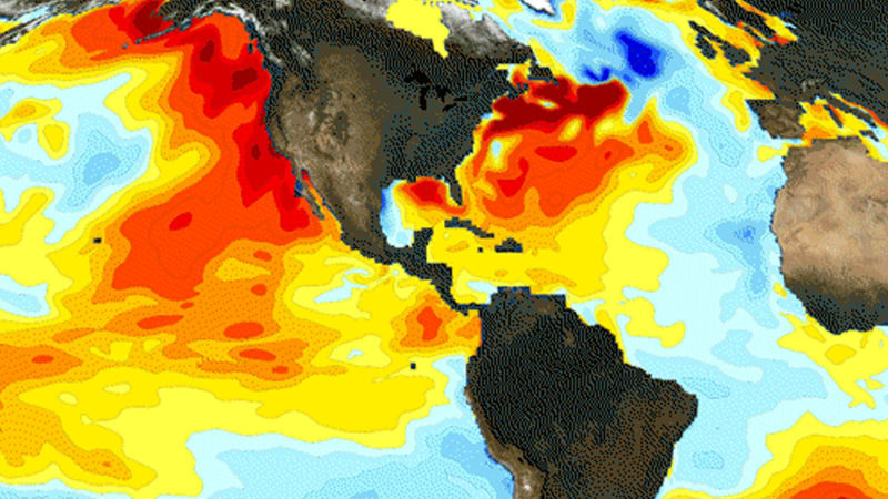 Globální oteplování rekordně zrychluje. Obávaný jev El Niño nezpůsobuje jen brutální vedra