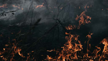 Na Mladoboleslavsku hoří les. Hašení komplikuje těžký terén, zasahuje vrtulník