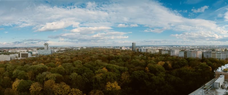 Panoramatický pohled na Olšanské hřbitovy